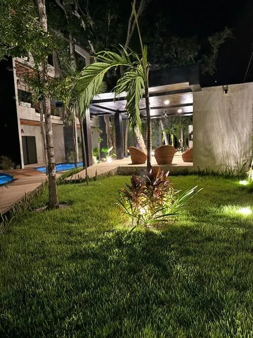 Apartment Jungle Penthouse W Private Rooftop, Ac And Wifi Tulum